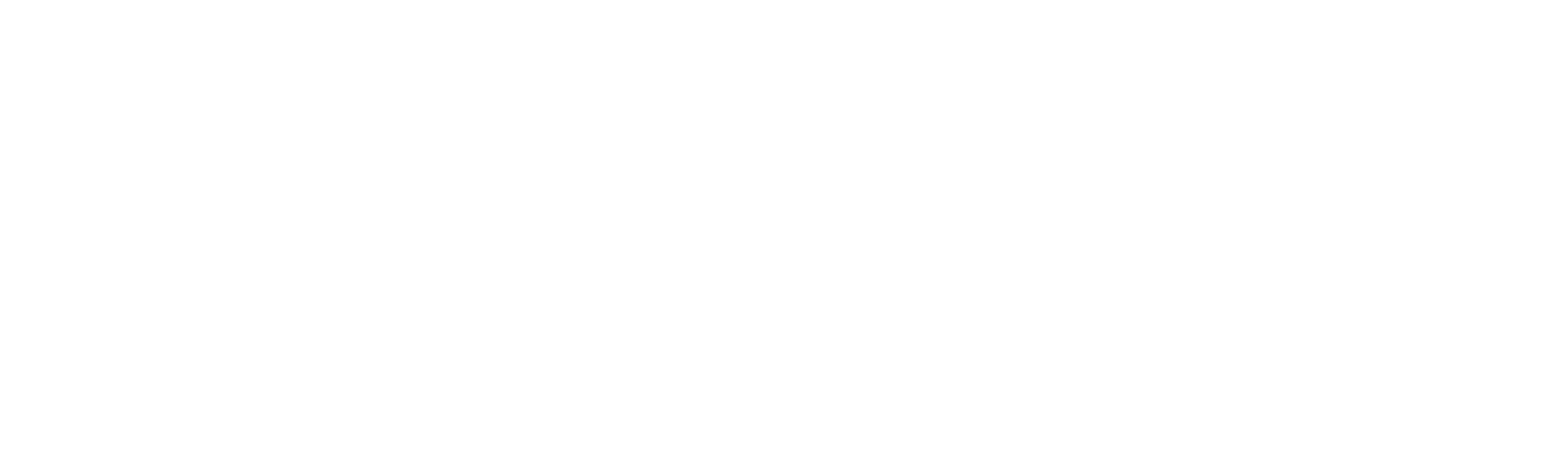 Castelló Esports